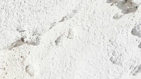 Detergenti e Cura della Casa